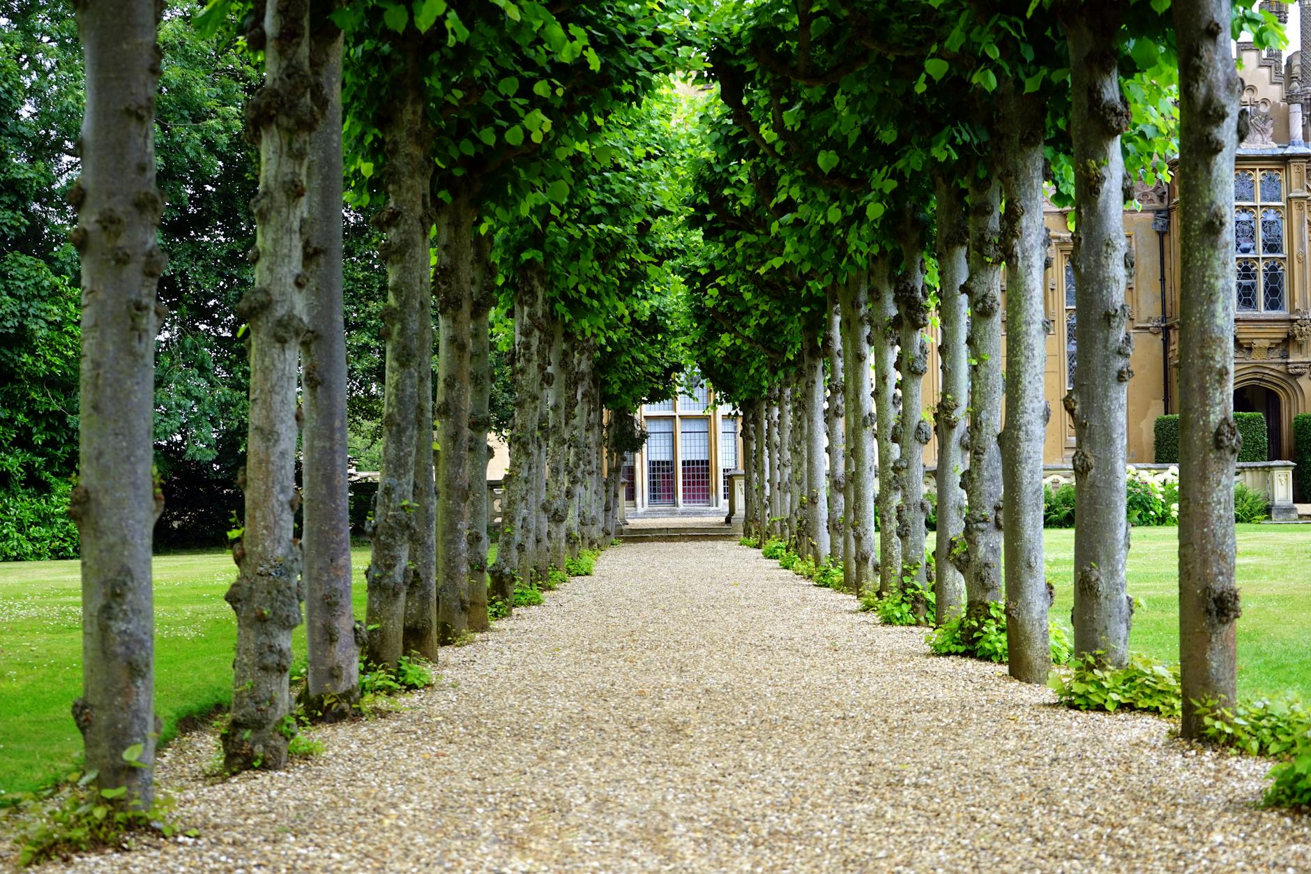 Feng Shui Exterior - A welcoming front entrance with a clean path and potted plants.