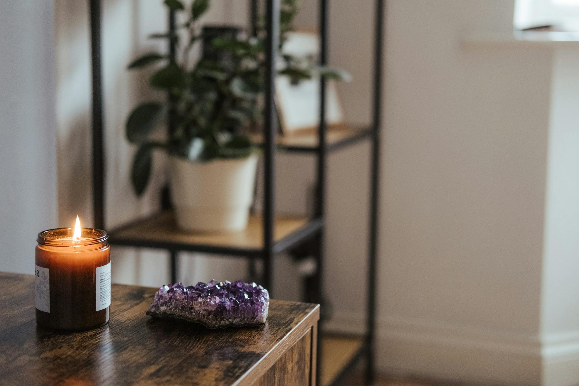close up of green plant and amethyst crystal on a shelf