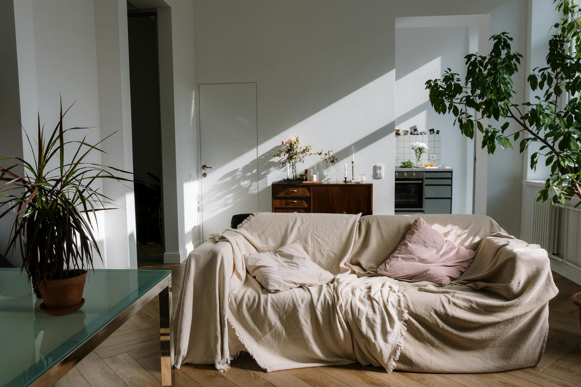 2026 Feng Shui Flying Stars – modern living room with natural light and plants
